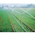 安徽安维节水灌溉(图),农用喷灌机,合肥喷灌缩略图1
