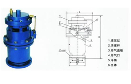 1/4铜排气阀-中南阀门(在线咨询)-排气阀