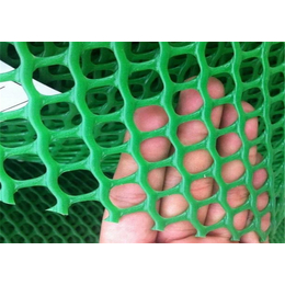 粉皮晾晒塑料网批发、泰泽塑料网、塑料网