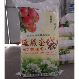 塑膜苹果袋生产厂_常兴果袋(在线咨询)_济宁塑膜苹果袋