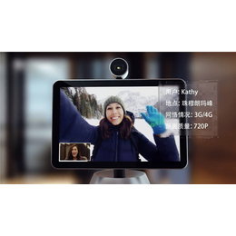 视频会议|锐视通|不间断远程视频会议系统