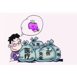 广东薪酬报告出炉   广州*   广州养老保险