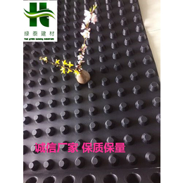 中山丨惠州车库楼顶排水板2公分隔根板