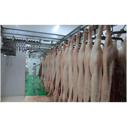 猪肉配送公司,东莞市牧新康,麻涌猪肉配送公司
