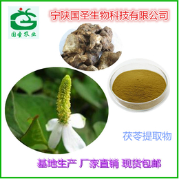 茯苓粉 茯苓提取物代工 茯苓纯粉生产厂家缩略图