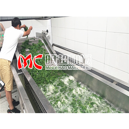 蔬菜清洗机厂家|盘锦蔬菜清洗机|明超公司