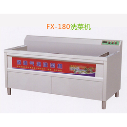 超声波洗菜机型号、郑州超声波洗菜机、福莱克斯(在线咨询)