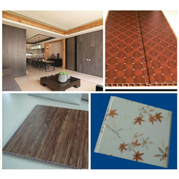 竹木纤维墙板设备厂家|塑科机械(在线咨询)|竹木纤维墙板设备
