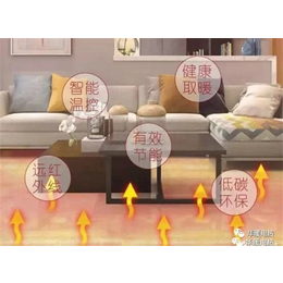 天津电地暖-华暖新能源 电墙暖(图)