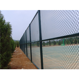 球场护栏网供应、无锡球场护栏网、河北华久(图)