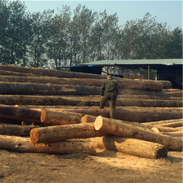 岚山中林木材、泰安辐射松建筑木方、辐射松建筑木方厂商