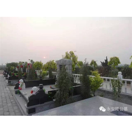 天津公墓营销中心(图)|天津公墓销售|天津公墓