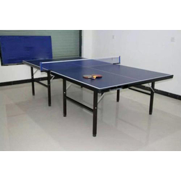 益泰体育公司(图),乒乓球台生产厂家推荐,徐州乒乓球台