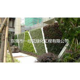 客厅植物墙价格-东莞客厅植物墙-一枝花绿化