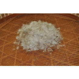兰兴羽绒批发(图)-白鹅绒生产厂家-杭州鹅绒