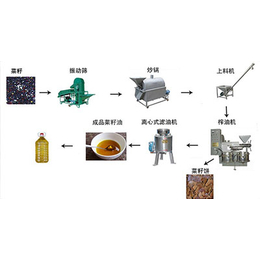 菜籽榨油机生产厂家(图)、菜籽榨油机、菜籽榨油