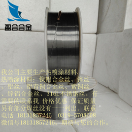B10白铜焊丝CuNi10 SCu7061 电弧喷涂铜焊丝