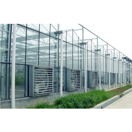 玻璃连栋温室|正航环保|玻璃连栋温室价格工程