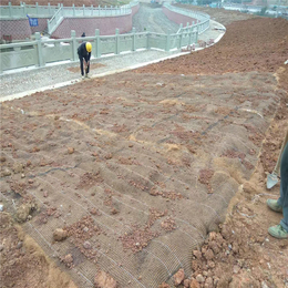 供应贵州黔西南州河道治理用*冲生态毯 加筋防冲毯 