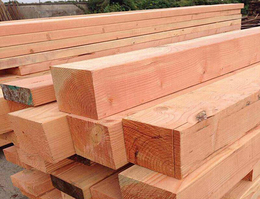 山东木材加工厂-合肥木材加工-日照国鲁木材厂