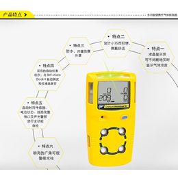 BWMC2-XWHM气体检测仪显示PAST维修