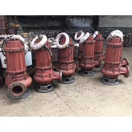 潜污泵价格、忻州100WQ30-22-5.5搅匀排污泵