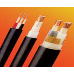 安徽绿宝电缆（集团）(图)、交联护套电力电缆、浙江电力电缆
