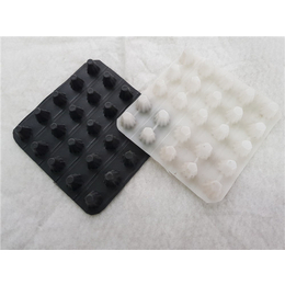 唐能工程材料(图)-凹凸型塑料排水板规格-凹凸型塑料排水板