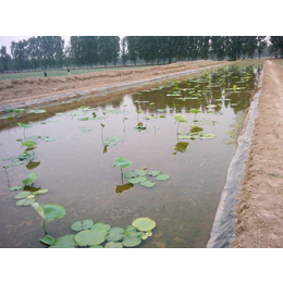 水产养殖防渗膜海水淡水*土工膜鱼池对虾养殖场防渗膜