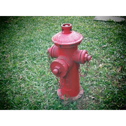 滁州消防器材-荣光商贸厂家*-消防器材安装