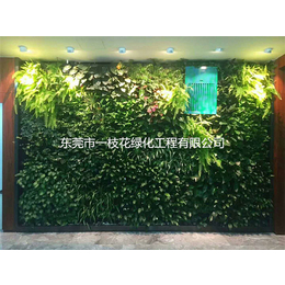佛山办公室绿化墙-东莞市一枝花绿化工程-办公室绿化墙造林工程