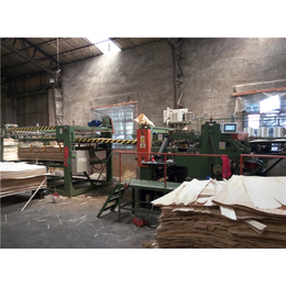 山东细木工板机械-山东海广板材设备-细木工板机械价格