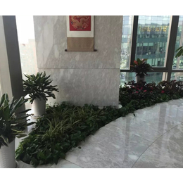 北京林昊欣达花卉(图)、办公室植物租赁费用、植物租赁