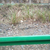 安徽波形护栏打桩、波形护栏安装、安徽波形护栏缩略图1