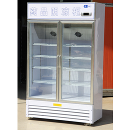 盛世凯迪(图)|医用冰柜尺寸|北京医用冰柜