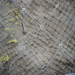 温州护坡挂勾花网-喷浆铁丝网-绿化生态 丝网厂报价