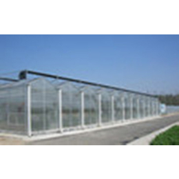 齐鑫温室园艺(在线咨询)、温室种植、西红柿温室种植技术视频