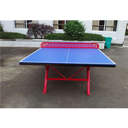 社区乒乓球台价格-庚宸体育(在线咨询)-乒乓球台
