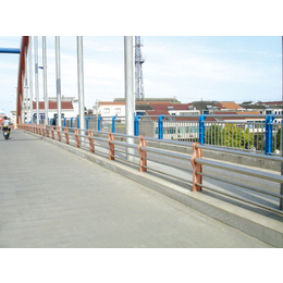 山东神龙金属桥梁栏杆-人行道桥梁护栏施工-广东桥梁护栏施工