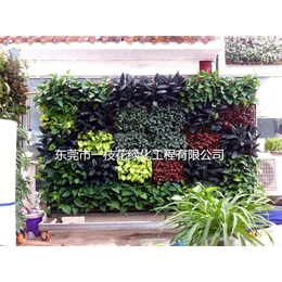 室内绿化墙-一枝花绿化(在线咨询)-绿化墙