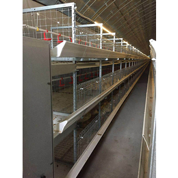 章丘阶梯式肉鸡笼-禽翔笼具养殖设备-阶梯式肉鸡笼价格