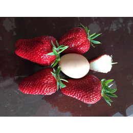 甜查理草莓苗多少钱一株、乾纳瑞农业、喀什地区甜查理草莓苗缩略图