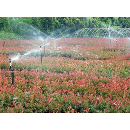 水肥一体化设备销售-莆田水肥一体化设备-格瑞特灌溉
