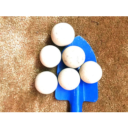 自贡攀枝花球磨机用中铝球|球磨机用中铝球供应|方晶公司