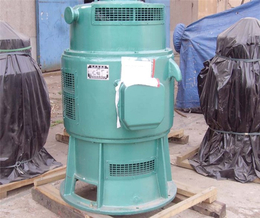 泰山泵业水泵-吉林700ZLB轴流泵