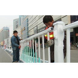 合肥特宇护栏(图)|市政护栏厂|芜湖市政护栏