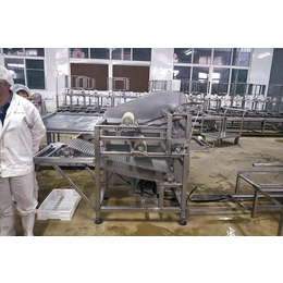 震星豆制品机械设备(在线咨询),济宁豆腐皮机,哪里卖豆腐皮机