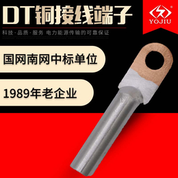 铜铝接线端子DTL-500平方 接线鼻子