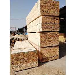 南阳铁杉建筑木材|福日木材|工程用铁杉建筑木材