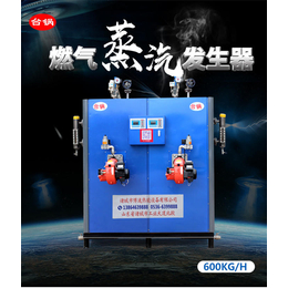 广西蒸煮锅蒸汽发生器-台锅锅炉(图)-蒸煮锅蒸汽发生器·